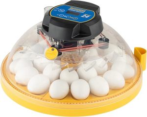 Brinsea Mini II Advance Incubator