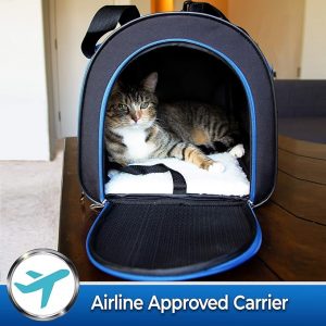 Pet Magasin Soft-Sided Carrier