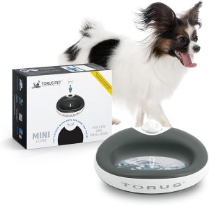 Torus Pet Mini Filtered Water Bowl