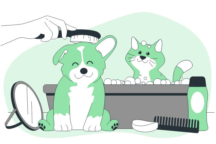 cat and dog grooming