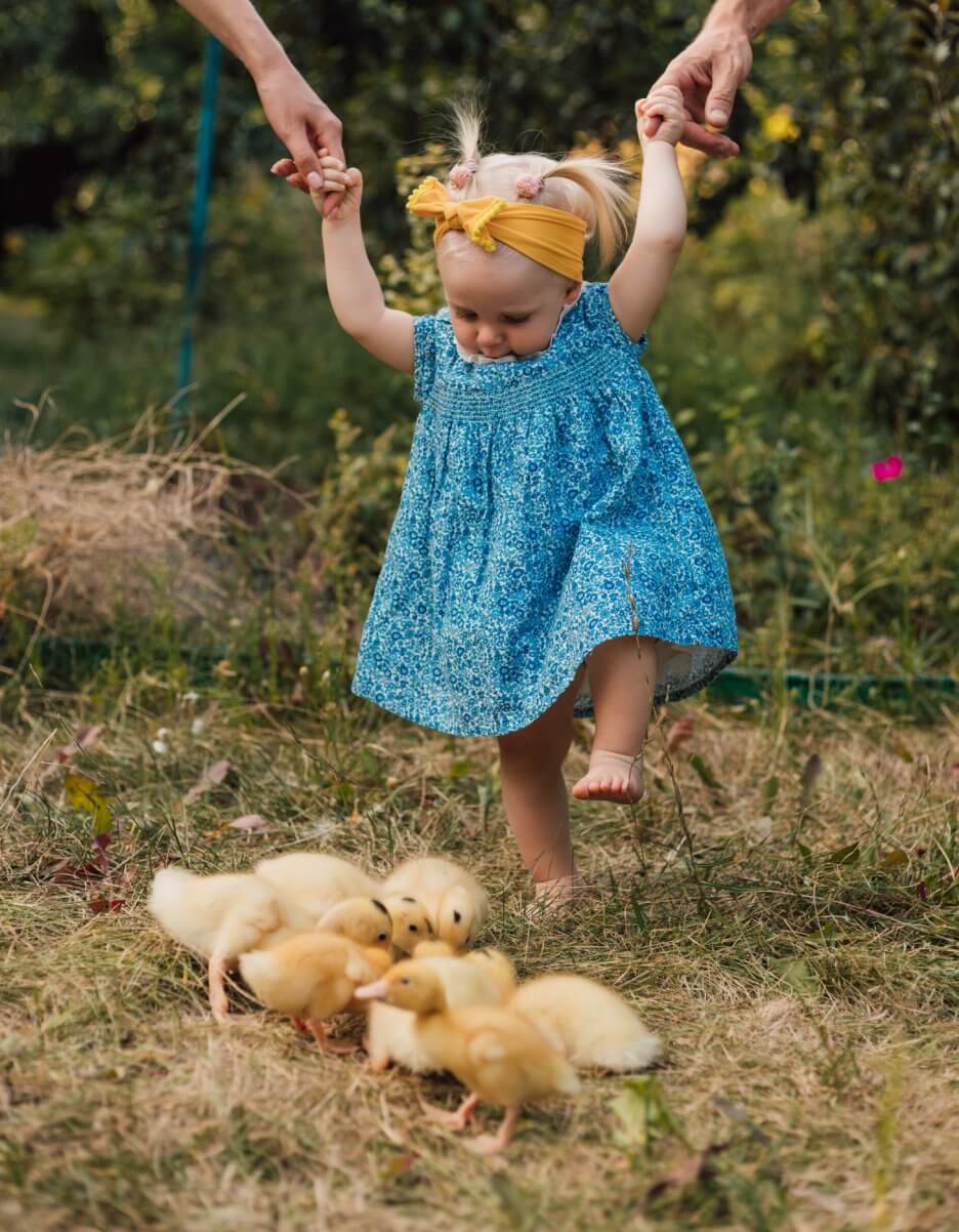 Photography Sessions with Animals