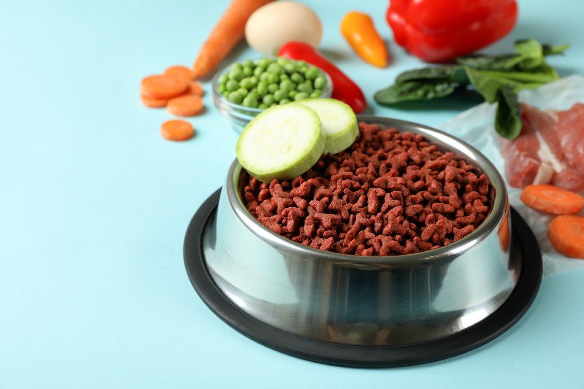 organic pet food