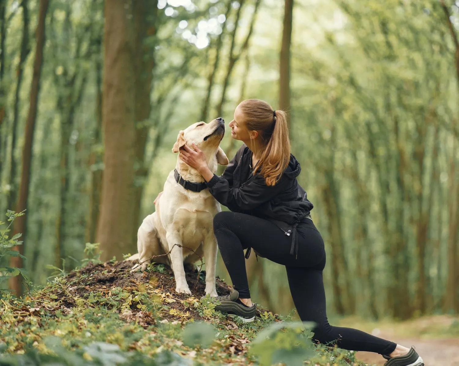dog walking service menu with weekly plans puppy visits and add-ons
